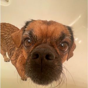 Meet your Posher, Nolan